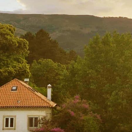 Casa Das Essencias, Quinta De Santo Antonio Covilhã Buitenkant foto